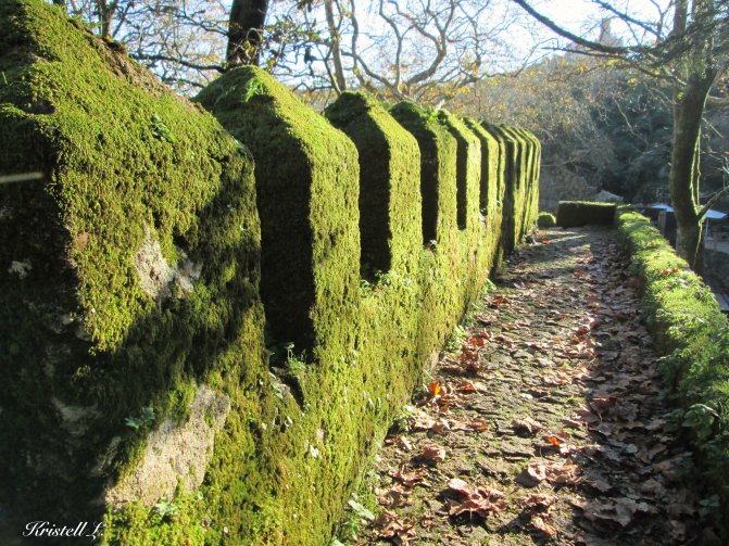 les-murs-ont-des-oreilles