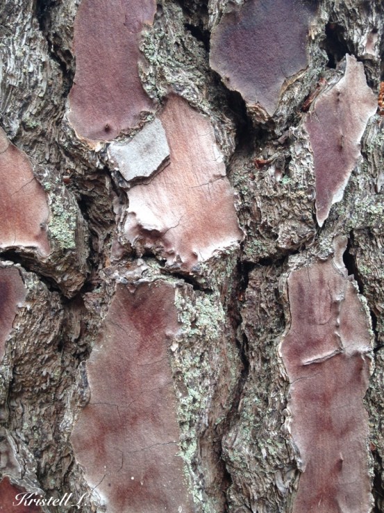 des-perles-et-du-courage