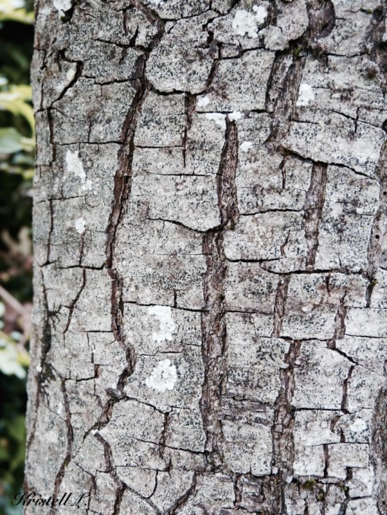 des-pieces-de-puzzle