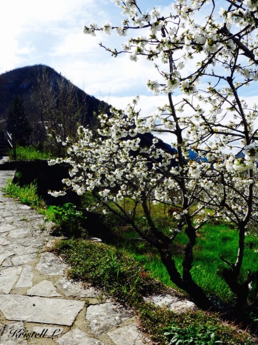 Le gardien du paradis.jpg